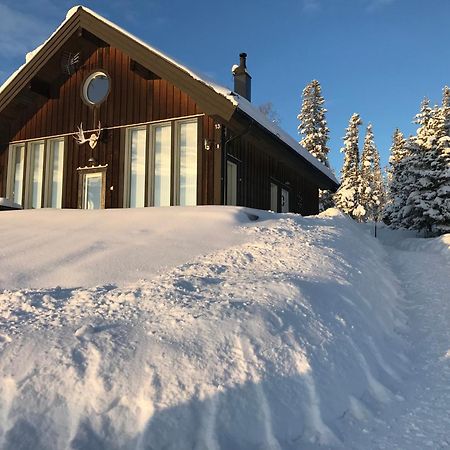 Ottsjoe-Are Lodge Buitenkant foto